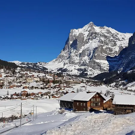 Gletscherfloh By Interhome