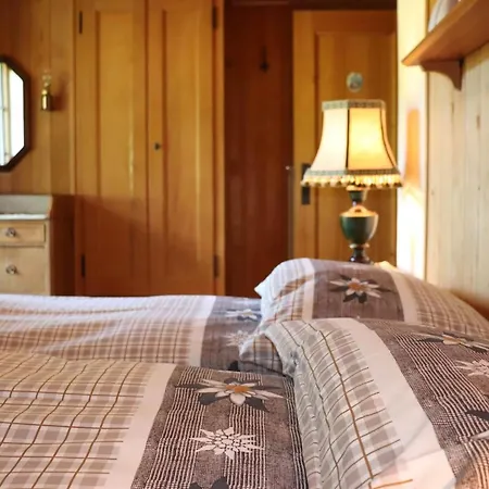 Gletscherfloh By Interhome Tatil Evi