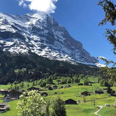 Tatil Evi Gletscherfloh By Interhome Grindelwald