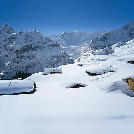 Tatil Evi Gletscherfloh By Interhome Grindelwald