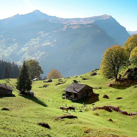 Gletscherfloh By Interhome Tatil Evi Grindelwald