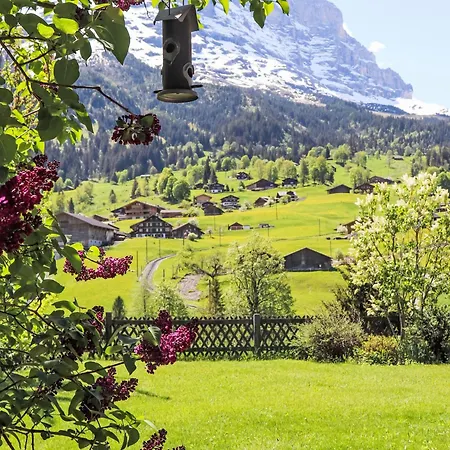 Gletscherfloh By Interhome * 格林德瓦