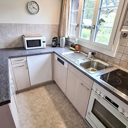 Gletscherfloh By Interhome Tatil Evi Grindelwald
