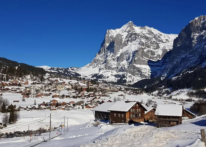 Gletscherfloh By Interhome