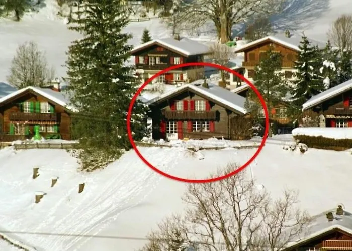 Gletscherfloh By Interhome Grindelwald
