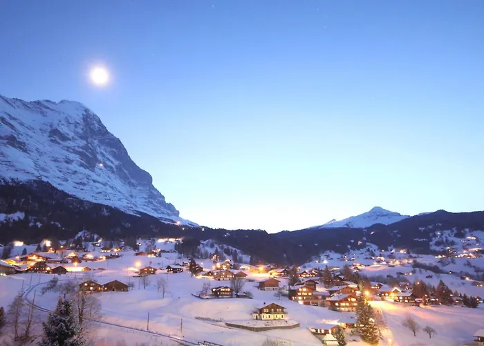 Gletscherfloh By Interhome Grindelwald