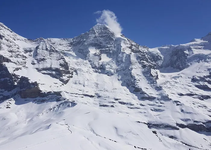 Gletscherfloh By Interhome Holiday home