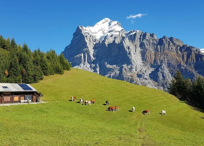 Gletscherfloh By Interhome *