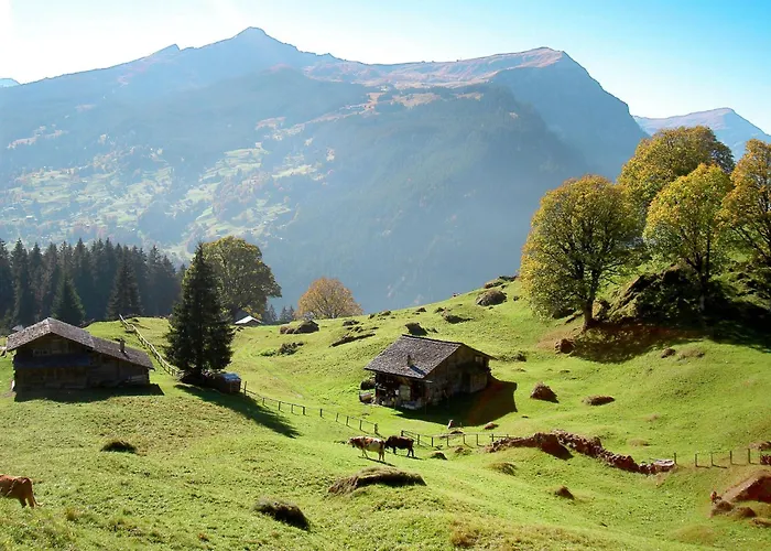 Gletscherfloh By Interhome Holiday home Grindelwald