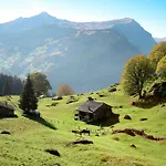 Gletscherfloh By Interhome Hébergement de vacances Grindelwald